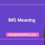 IMS Meaning in Text: What Does It Stand For?